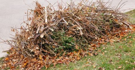 Technologia FuelCal® – sposób na zagospodarowanie odpadów zielonych