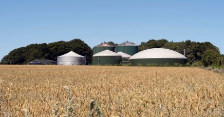 Biogazownia a sąsiedzi: odory, konflikty społeczne i realne koszty, o których nikt nie mówi