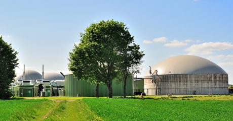 Biomasa nie musi czekać: dlaczego czas przetworzenia decyduje o emisjach?